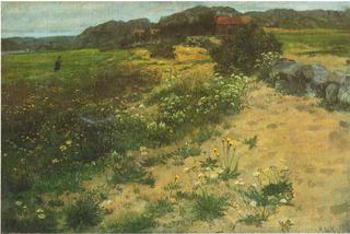 Jæren