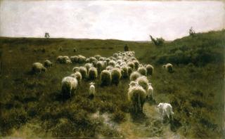The Return of the Flock, Laren