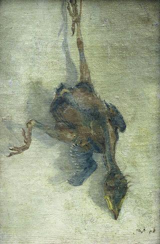 Dead Bird