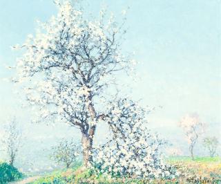 La Branche Cassée