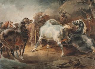 Fighting Horses