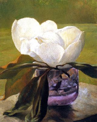 Magnolia Blossom