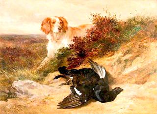 The Retriever