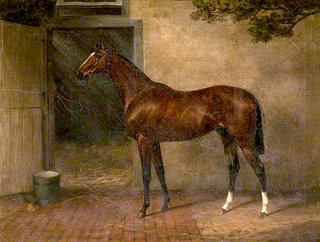 'Toddington'