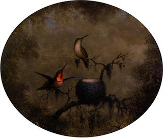 Hummingbirds and Their Nest