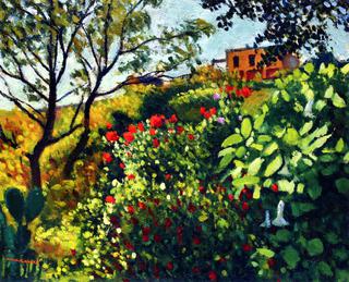 Geraniums, Summer