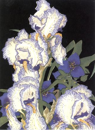 Pencilled Irises