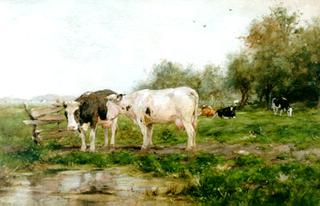 Cows in the Pasture