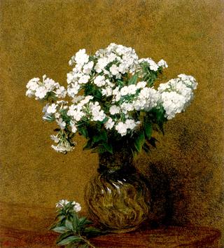 White Phlox in a Vase