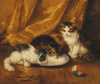 trois chatons et une balle
