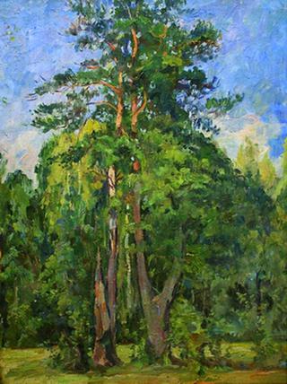 Pines