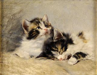 Two Kittens