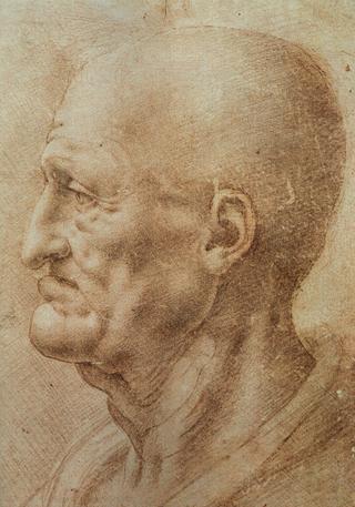 Study of an Old Man's Profile