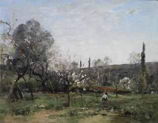 Flowering Appletrees