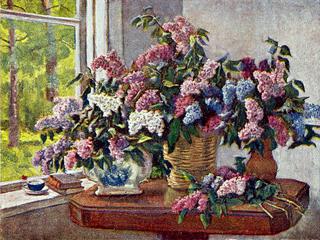 Lilacs by the window