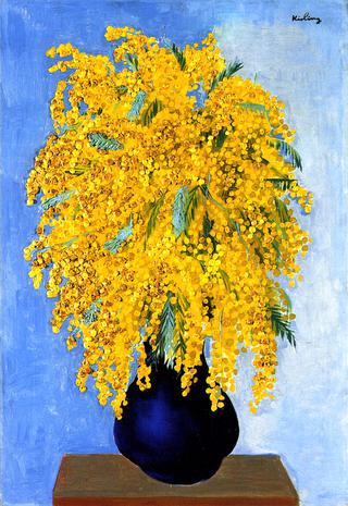 Vase of Mimosas