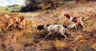 Hunting Dogs