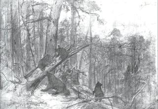 Morning in a Pine Forest