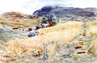The Crofter's Harvest
