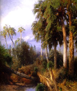 Florida Palms