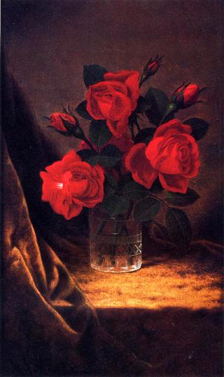 Jaqueminot Roses