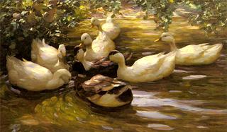 Ducks under the birch