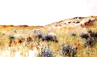 The Dunes, Holland