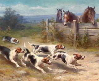 Jack Russell chasing pack
