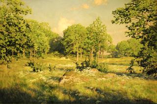 The Pasture