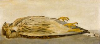 Dead Bird