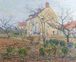 House of my Mother