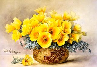 California Poppies in an Indian Basket