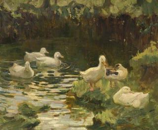 The Duck Pond