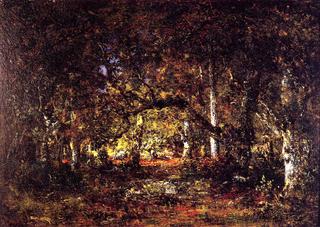 Forest Interior