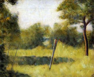 The Clearing