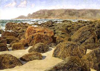 Rocky Coast Scene