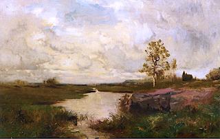 Marsh Landscape