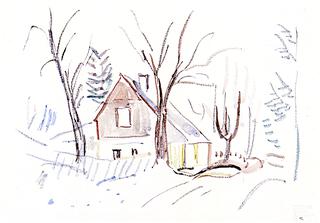 House behind Trees