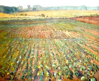 A Field of Swedes