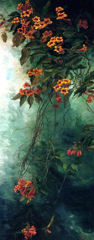 Trumpet Creeper