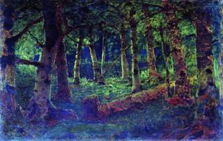 The Birch Grove