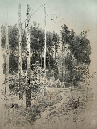 Forest Path