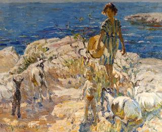 A Summer Walk