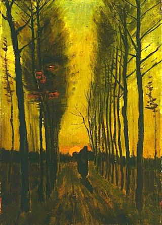 Lane of Poplars at Sunset