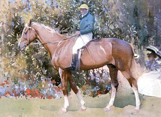 In the Paddock