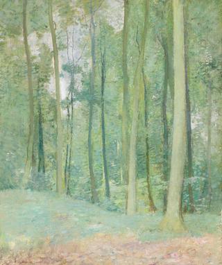Wooded Landscape