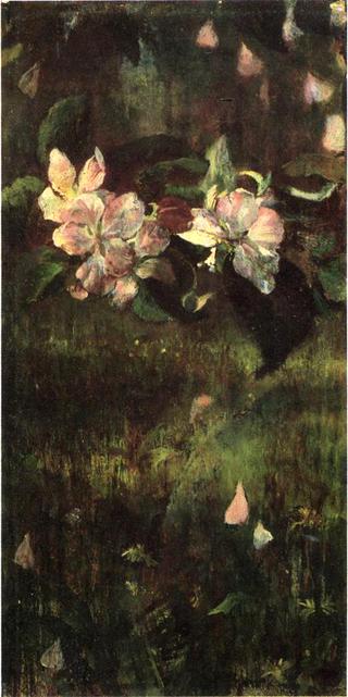 Apple Blossoms