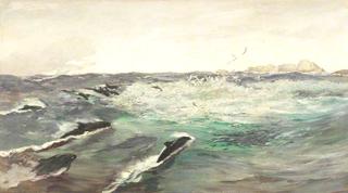 Porpoises Chasing Mackerel