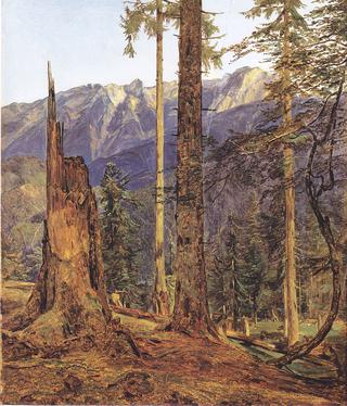 Höllengebirge at Ischl