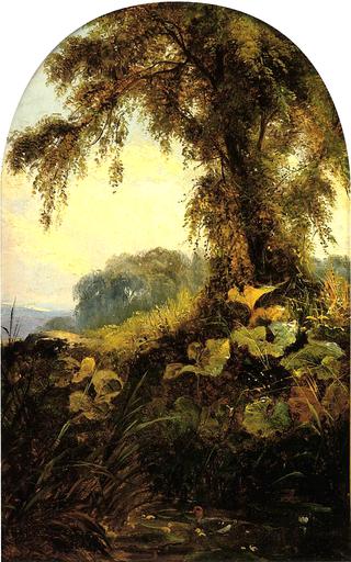 Summer Landscape